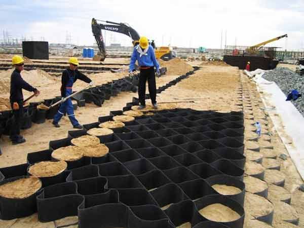 c(din)鿴Ԕ(x)Ϣ(bio)} xΔ(sh)1552