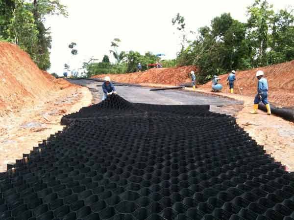 c(din)鿴Ԕ(x)Ϣ(bio)} xΔ(sh)1592